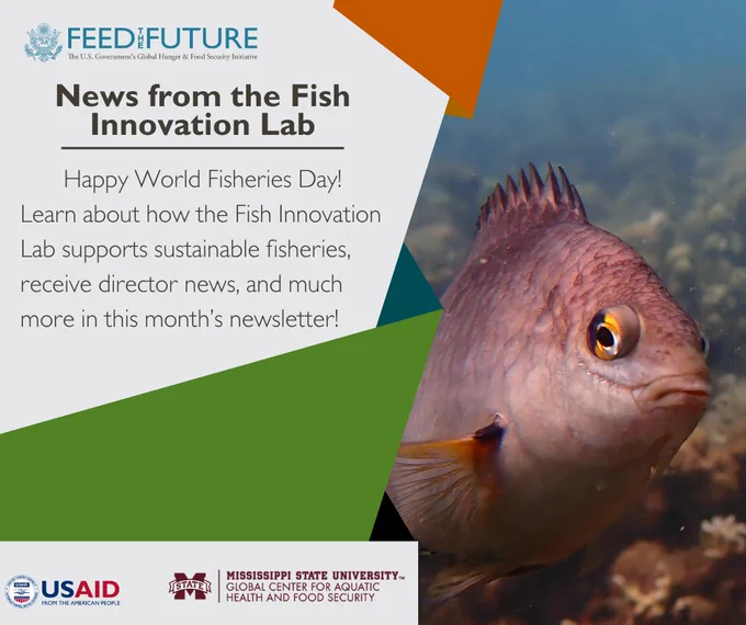 A picture of a fish in the ocean along with the caption, "News from the Fish Innovation Lab: Happy World Fisheries Day! Learn about how the Fish Innovation Lab supports sustainable fisheries, receive director news, and much more in this month’s newsletter!"