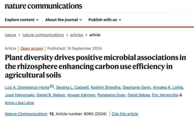 Screenshot of an article on the Nature Communications website, titled “Plant diversity drives positive microbial associations in agriculture enhancing carbon use efficiency in agricultural soils,” published on September 14, 2024. The article is marked as open access and includes authors Lizzi A. Deignan-Horta, Serafina L. Capelli, Rashmi Shrestha, Stephanie Gerin, Aneeka L. Kohlia, David Sebag, Eric Verrechia, and Anna-Liisa Laine.