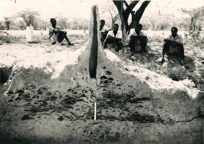 Black and white photograph of a group of Kenyan men sat near a termite hill with its inside visible.
