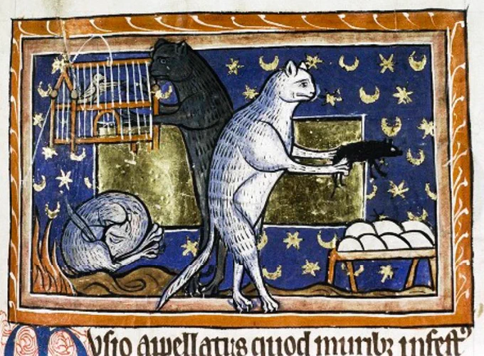 Medieval manuscript image. A white cat stands on its hind legs brandishing a rat over a table of eggs, behind it, a black cat also on hind legs is touching a cage of birds hanging from the ceiling. Beneath the birds a third cat is cleaning itself. The background is a rich blue with golden stars and crescent moons. It is as confusing an image as it sounds.