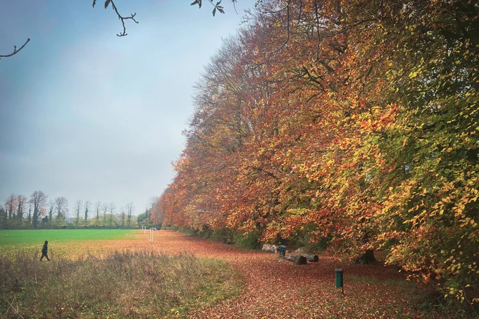 Leagrave Park walk