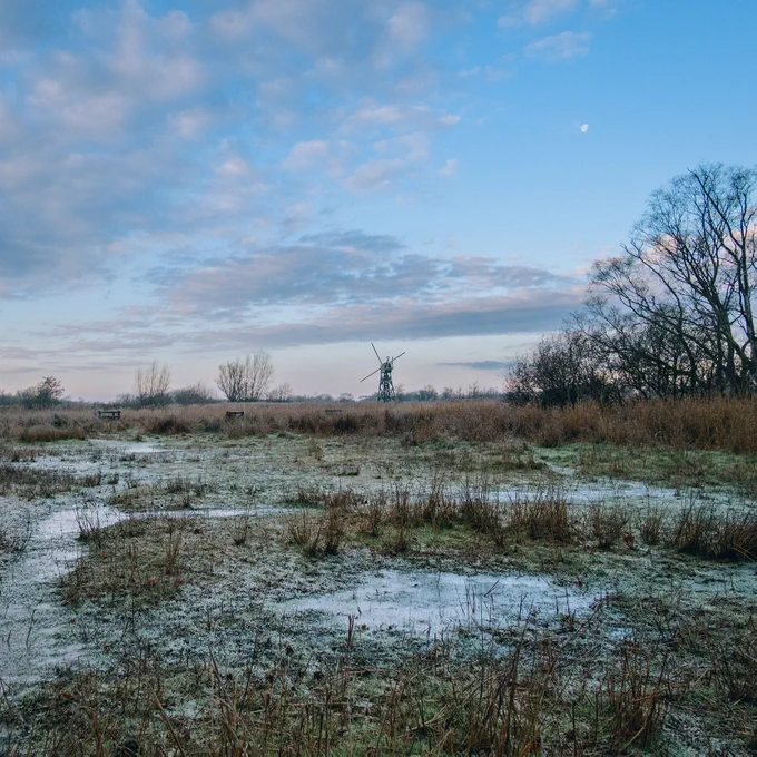 The image depicts a serene winter landscape at How Hill, showcasing marshland with patches of water and frost-covered grass under a crisp blue sky. A windmill can be seen in the distance, framed by bare trees, evoking a peaceful and atmospheric scene typical of the Broads in the colder months.