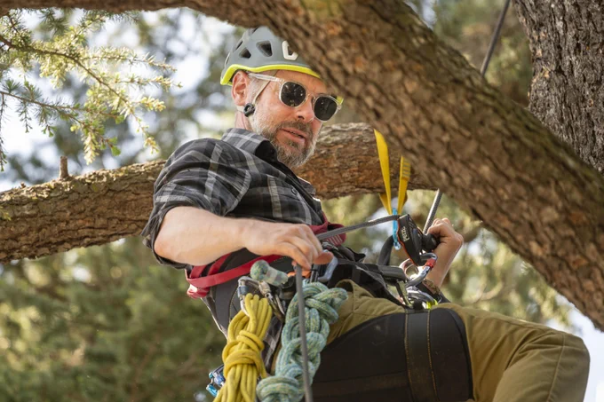 Nate Farrington climbs a tree on Chico State campus during an Earth Day celebration.