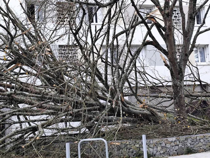 Le sous-préfet de Saint-Nazaire s'est rendu avec le SDIS 44 au collège Frida Kahlo sur la commune de Pontchâteau, qui a subi des dégâts sur sa toiture, puis dans le quartier de la Tréballe à Saint-Nazaire.