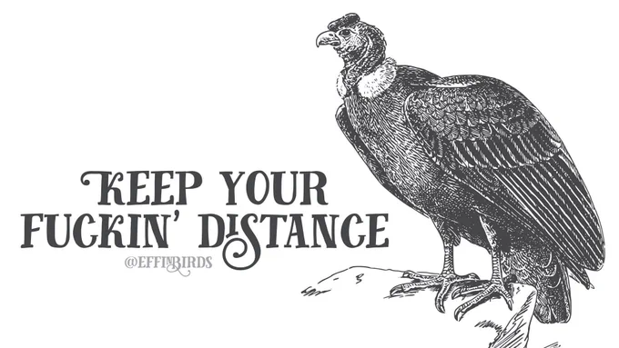 A woodcut of a vulture beside the text "Keep your fuckin' distance"