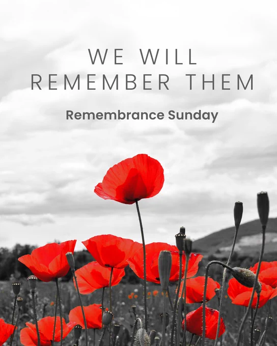 Image of a poppy field.

Grey text reads: We will remember them. Remembrance Sunday.