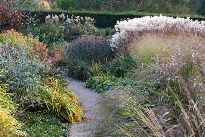 A serene garden path winds through lush ornamental grasses and flowering plants, showcasing a variety of textures and colors in a well-maintained landscape.