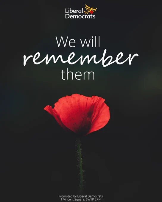 Liberal Democrat logo over the text "We will remember them". Background photo shows a poppy.