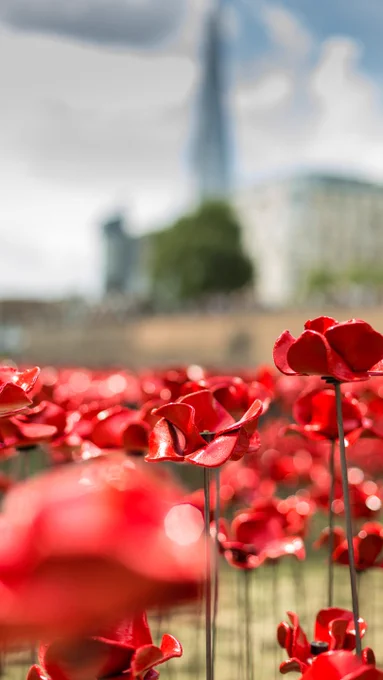 A sea of ceramic poppies in the foreground, with a blurred background showing the Shard and the Tower of London.