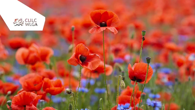 Remembrance Day