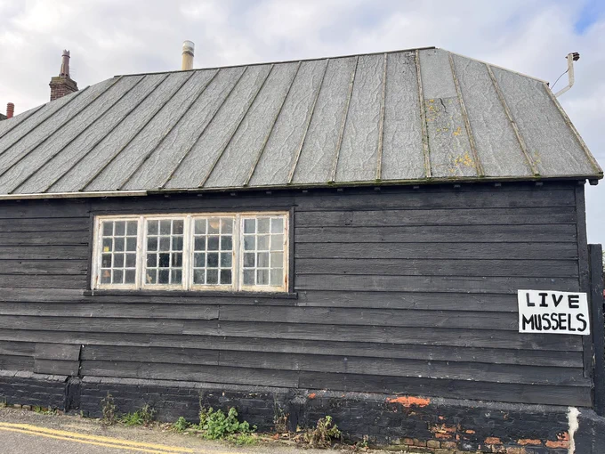 A shed selling live mussels