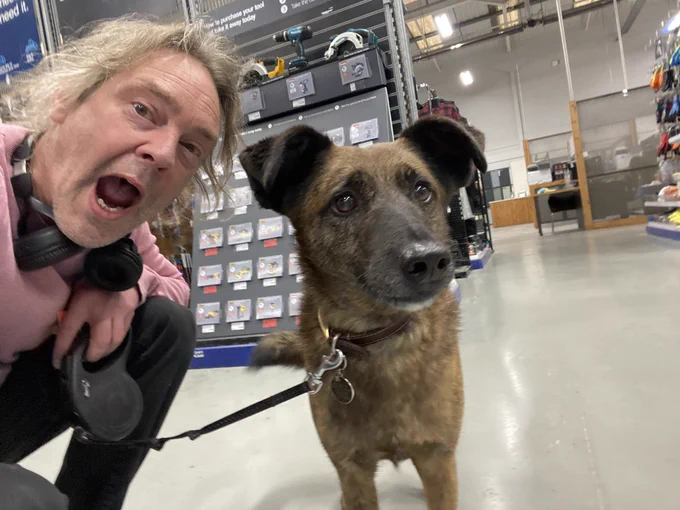 Stupid person and stupid dog, in Wickes