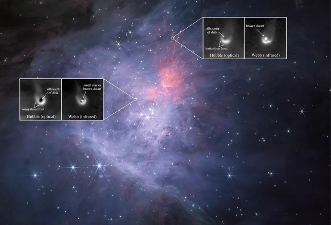 Infrared image of the center of the Orion Nebula taken by NASA. Expanded images of different proplyds are shown highlighted to see the protoplanetary disk and brown dwarf. 