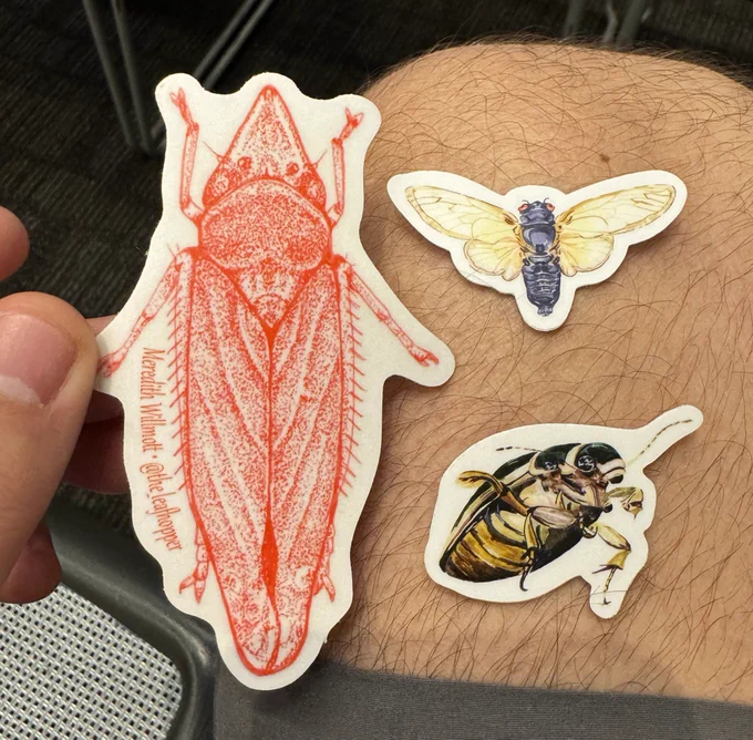 A large red leafhopper sticker beside two smaller stickers: a periodical cicada above a diving beetle.