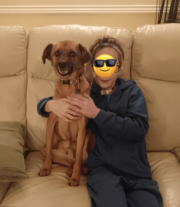 Medium size brown dog sits cuddled next to 12 yr old boy on a cream leather sofa. Bits face is obscured by a emoji with dark glasses. His tracheostomy tube, ng tube and cochlear implants are visible 