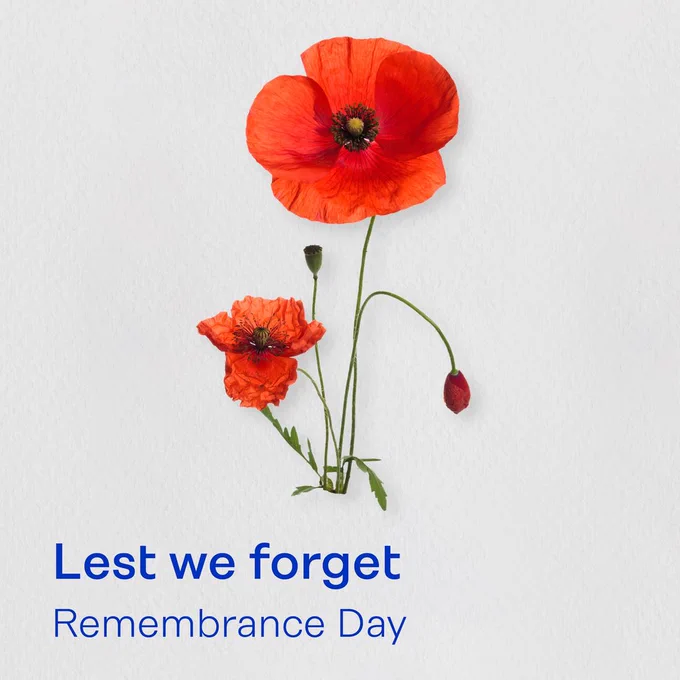 A vibrant red poppy with two buds against a white background, with text reading "Lest we forget Remembrance Day.