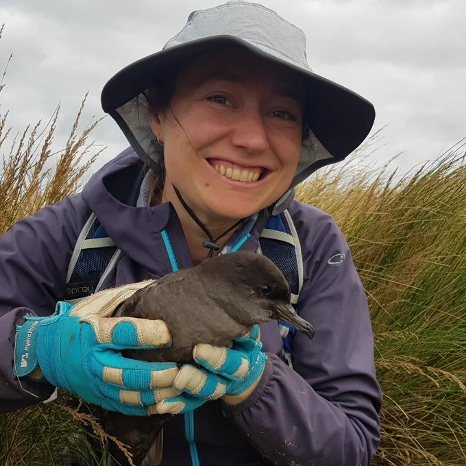 Dr Lauren Roman holding a yula short-tailed shearwater