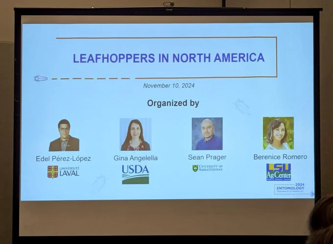 Organizer slide