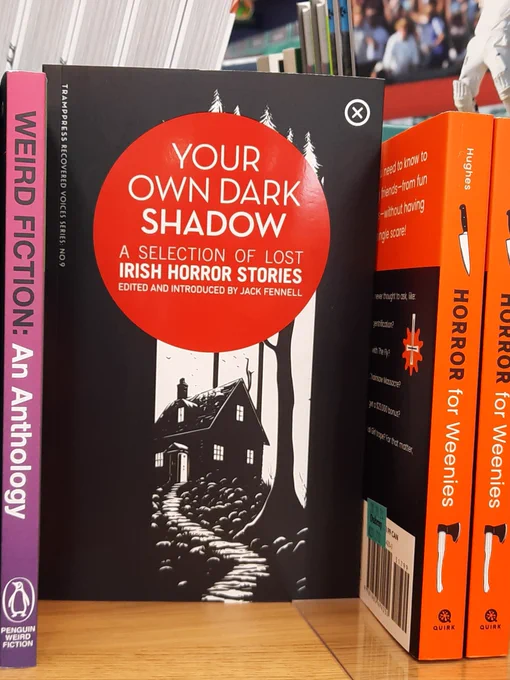 A copy of "Your Own Dark Shadows - Irish Horror Stories" edited by Jack Fennell sitting on a shelf at Dubray Books on Henry Street, Dublin.