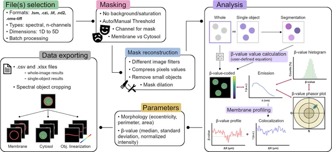 Illustration of the VISION general workflow. The different boxes show the main features of the VISION software, including File(s) selection, Masking, Mask reconstruction, Analysis, Parameters and Data exporting.