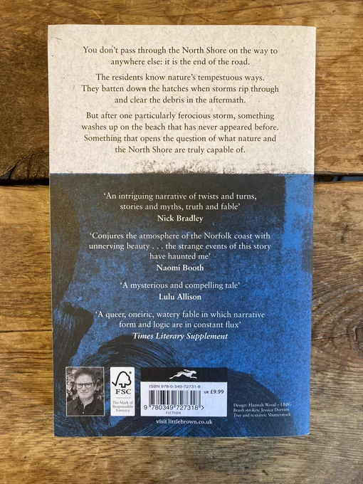 The back cover of ‘The North Shore’ by Ben Tufnell