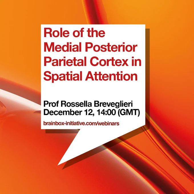 New webinar: Role of the Medial Posterior Parietal Cortex in Spatial Attention. Professor Rossella Breveglieri. December 12th, 14:00 GMT