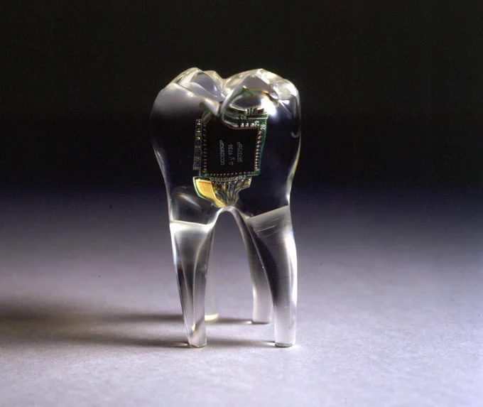 Tooth implant (James Auger, Jimmy Loizeau)