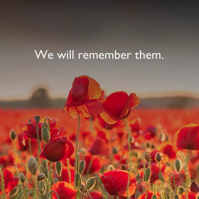 A field of red poppies. There are a mixture of poppies in bloom, with some yet to flower. There are two poppies rising highest above the rest of the field that are at the centre of the picture. Above the flowers are the words: “We will remember them”.