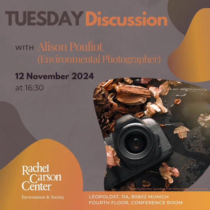 Information on the graphic: Tuesday Discussion with Alison Pouliot on 12 November 2024 at 16:30, location: Leopoldstraße 11A, 80802 München, fourth floor, conference room