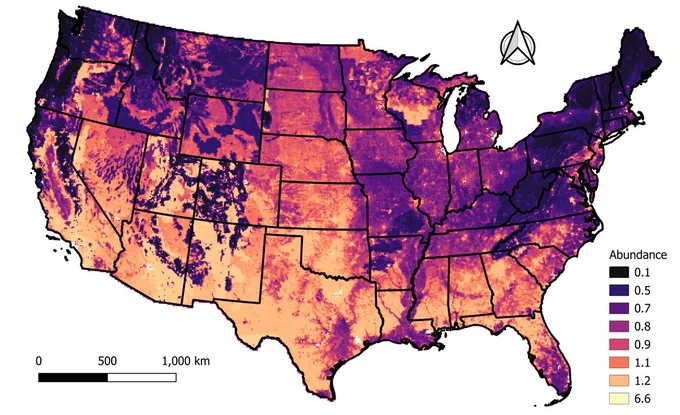 A national map of the USA showing coyote abundance