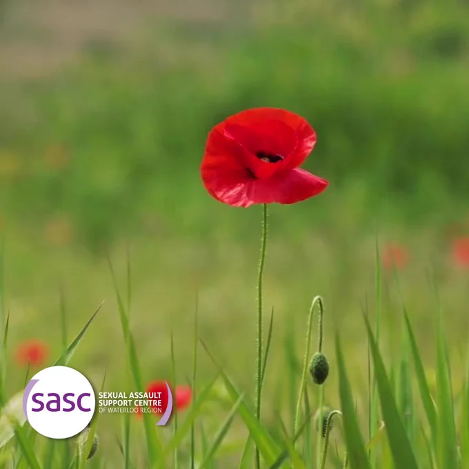 A still image with a poppy and SASC logo.