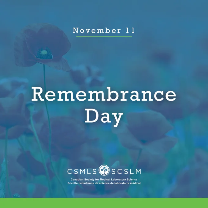 Background image of red poppies and text indicating 'Remembrance Day'