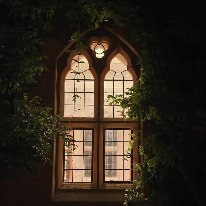 Jackson Library window at night