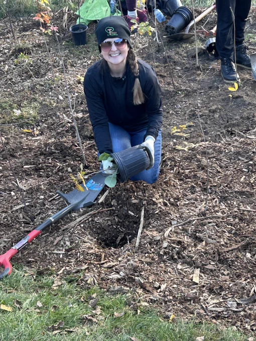 Woman in winter hat planting a tree in the soil.