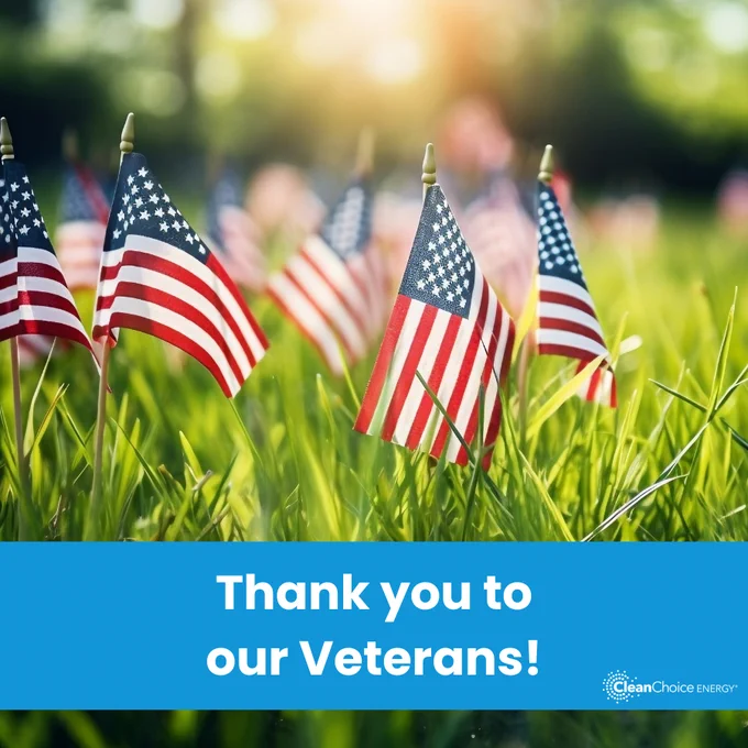 American flags placed in grass with sunlight shining through, with text 'Thank you to our Veterans!' and the CleanChoice Energy logo at the bottom.