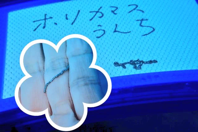 「魚群観賞の楽しみのひとつはウンチョスの舞いを見ること」←という事に共感してくれるマイガイド( *´艸｀)いつもありがとう