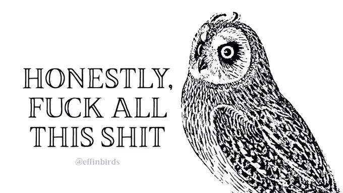 A woodcut of an owl beside the text "HONESTLY, FUCK ALL THIS SHIT"