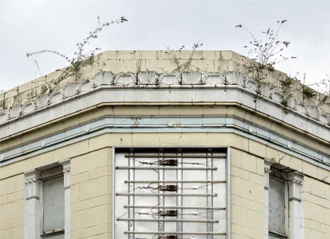 A white building with vegetation growing out of the guttering and roof 