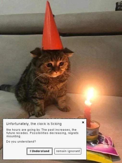 Photo of a cat wearing a birthday hat, looking at an open tin of fish with a lit candle in it on top of some cat food. Overlaid is an error message with the following text and options

Unfortunately, the clock is ticking

the hours are going by. The past increases, the future recedes. Possibilities decreasing, regrets mounting.

Do you understand?

I Understand
remain ignorant