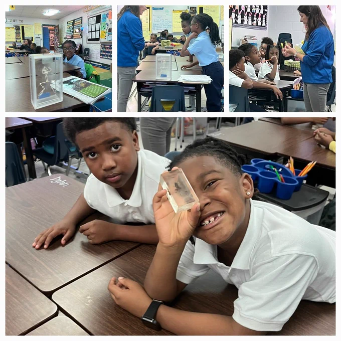 Hands on Science