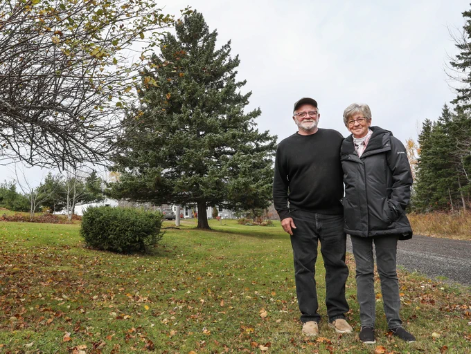 Large white spruce tree with a man and woman standing in front off to this side.