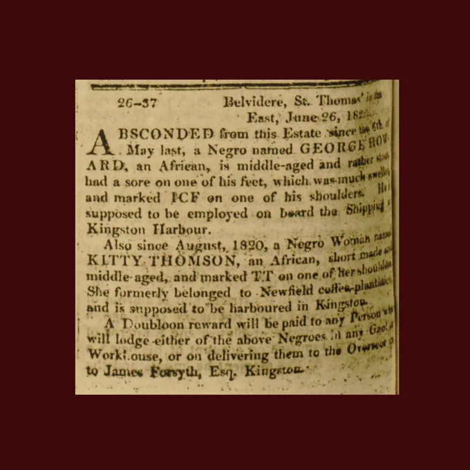 The image shows a newspaper clipping about Kitty Thomson, the woman who is the focus of the blog post.
