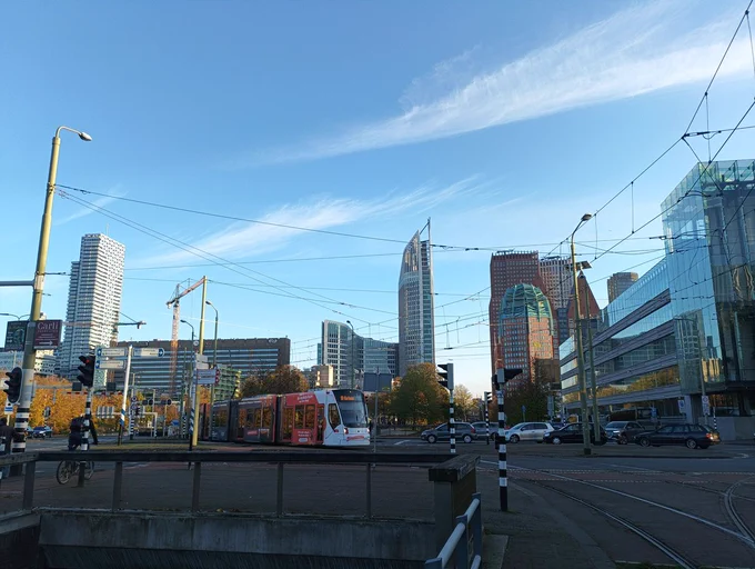 Haag 
