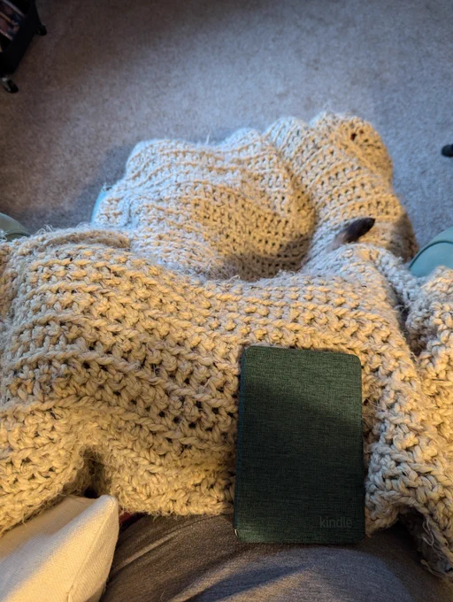 The picture is of a cat hiding underneath a beige blanket. On top of the blanket, there is a green kindle reader. The smallest end of the cat’s tail is sticking out from the blanket.