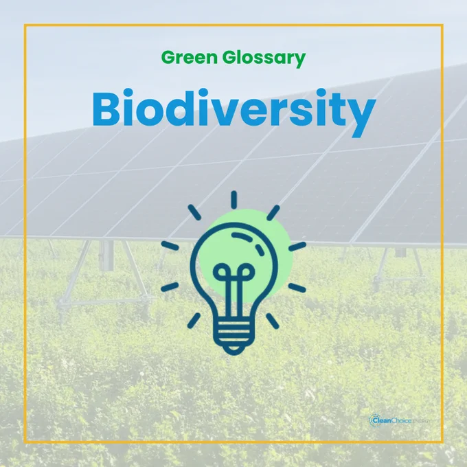 Graphic titled 'Green Glossary: Biodiversity' featuring a lightbulb icon over a background of solar panels and lush greenery. The logo of Clean Choice is in the bottom right corner.