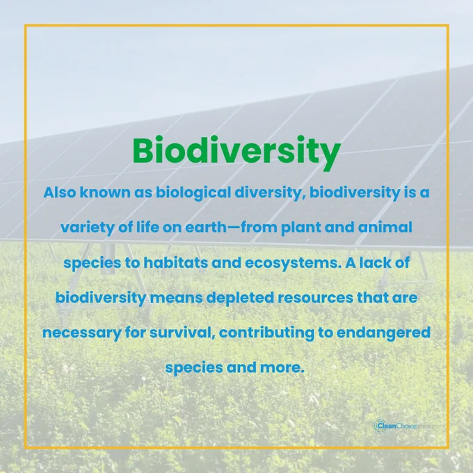 Graphic titled "Biodiversity," explaining biodiversity as the variety of life on earth, including plants and animals, with the importance of maintaining depleted resources for survival. Background shows a green landscape under a clear sky. Logo of CleanChoice Energy present in the bottom right corner.