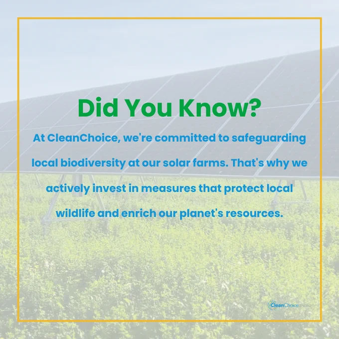 Promotional image from CleanChoice featuring a text overlay that reads: 'Did You Know? At CleanChoice, we're committed to safeguarding local biodiversity at our solar farms. That's why we actively invest in measures that protect local wildlife and enrich our planet's resources.' Background shows a solar farm.