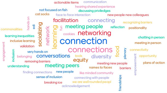 Figure 4 is a wordcloud of terms workshop participants used to describe their experience
