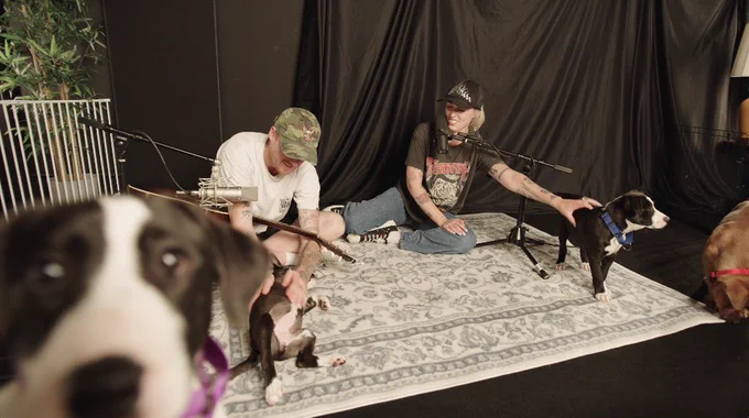 the guitarist rubs a puppy belly while sasha sloan scratches another’s back. a third puppy is sniffing at the corner of a rug. a fourth puppy is poking their head up into the bottom left corner of the frame, blurry from being too close to the camera.
