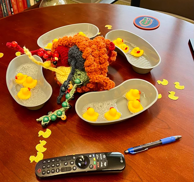 Small ducks sit in water trays on Dr. Licht's desk.